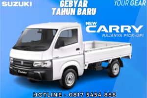 CARRY PICK UP